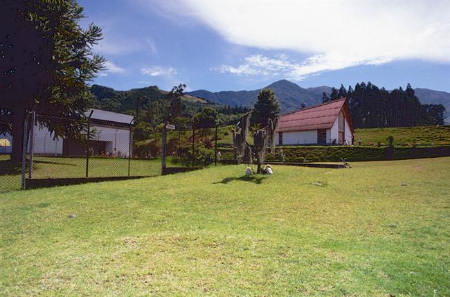 Alt' El grupo trabajando al aire libre'